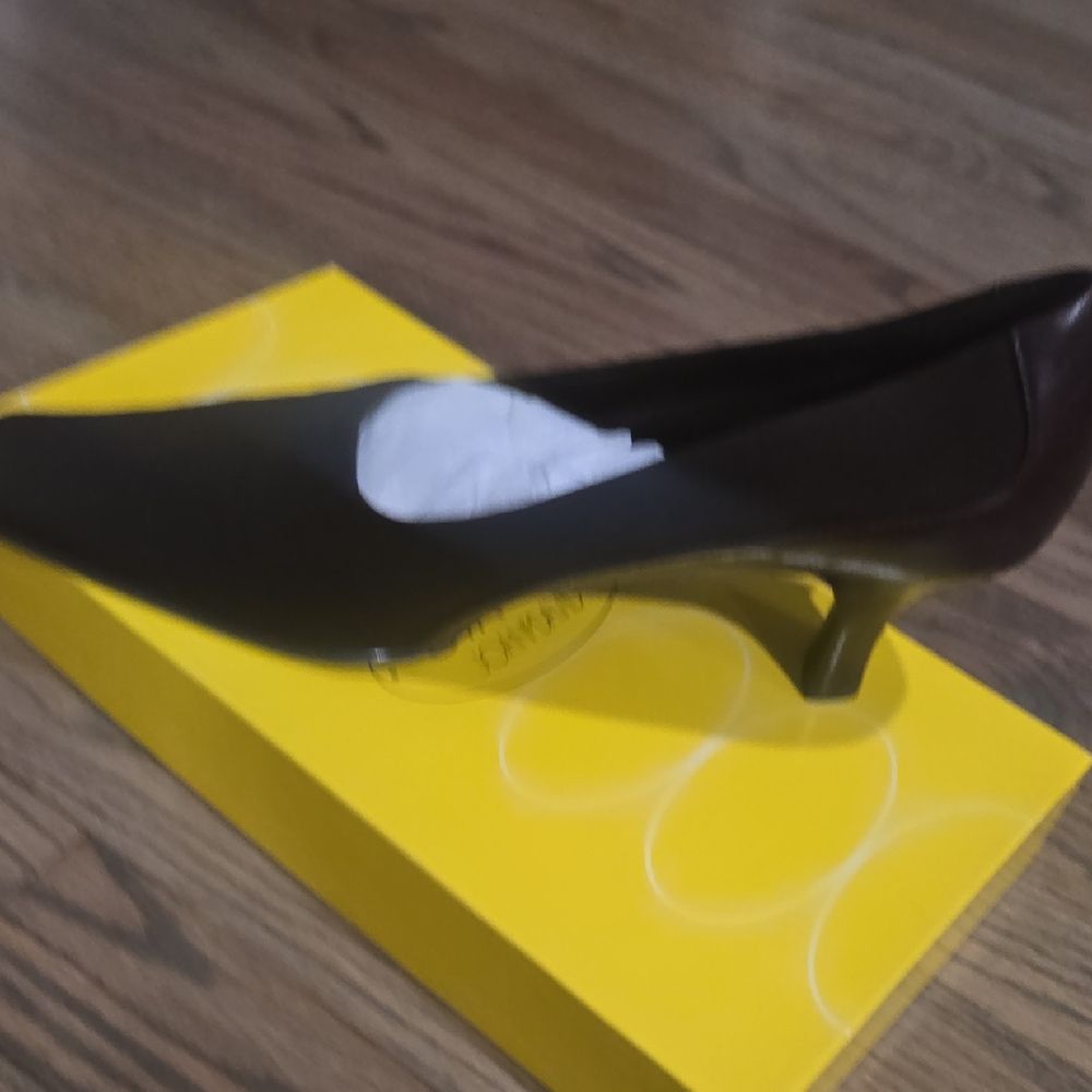 Elegant Black Heels